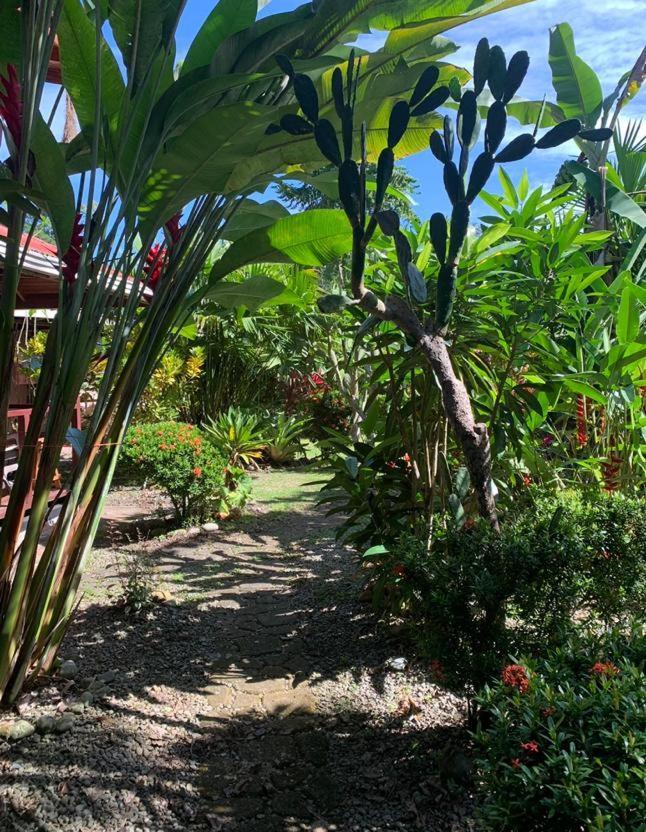Casa Mambo Cahuita Exterior foto